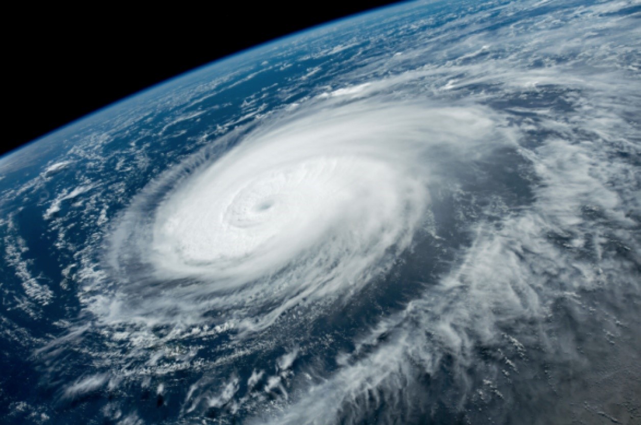 Typhoon Causes Closures at Major Asian Ports - Colless Young Pty Ltd